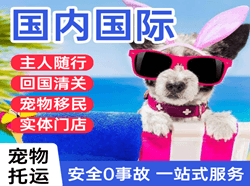 天吉泰机场物流国际宠物托运 【国